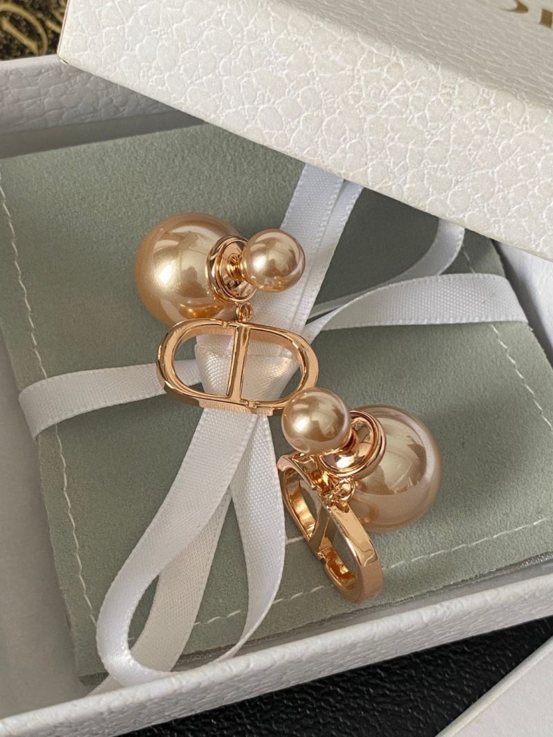 Christian Dior Earrings